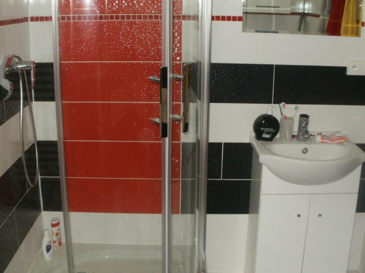 Apartman Abertamy Krusne Hory エクステリア 写真